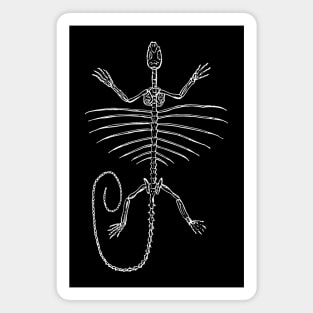 Lizard skeleton Magnet